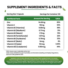 Himalayan Organics Plant Based Zinc With Vitamin C Vegetarian 120 Capsules Himalayan Organics Plant Based Zinc With Vitamin C Vegetarian 120 Capsules