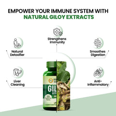 Himalayan Organics Giloy Extract 500mg Vegetarian 120 Tablets Himalayan Organics Giloy Extract 500mg Vegetarian 120 Tablets