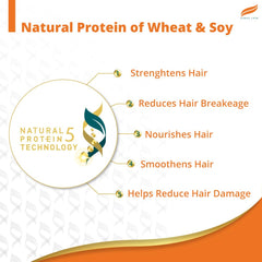 Himalaya Herbals Damage Repair Argan Oil Hair Shampoo Himalaya Herbals Damage Repair Argan Oil Hair Shampoo