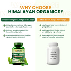 Himalayan Organics Ginkgo Biloba Vegetarian 60 Capsules Himalayan Organics Ginkgo Biloba Vegetarian 60 Capsules
