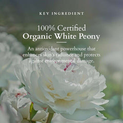 Lotus Organics+ Cosmetics Lotus Precious Brightening Serum+ Creme 30ml Lotus Organics+ Cosmetics Lotus Precious Brightening Serum+ Creme 30ml