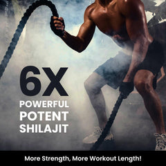 Himalayan Organics Himalayan Shilajit/Shilajeet 20g Himalayan Organics Himalayan Shilajit/Shilajeet 20g