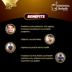 Dindayal Ayurvedic Shilajit Power Capsule Dindayal Ayurvedic Shilajit Power Capsule
