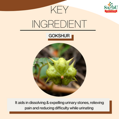 Sandu Ayurvedic Gokshur Kadha Liquid Sandu Ayurvedic Gokshur Kadha Liquid