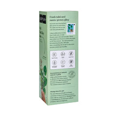 Kapiva Wild Tulsi Giloy Juice 1 Litre Kapiva Wild Tulsi Giloy Juice 1 Litre