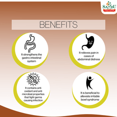 Sandu Ayurvedic Kutajarishta Liquid Sandu Ayurvedic Kutajarishta Liquid
