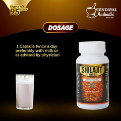 Dindayal Ayurvedic Shilajit Power Capsule Dindayal Ayurvedic Shilajit Power Capsule