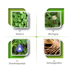 Vital Care Ayurvedic Hibril Psor Syrup,Capsule & Oil Vital Care Ayurvedic Hibril Psor Syrup,Capsule & Oil
