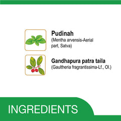 Amrutanjan Health Care Amrutanjan Ayurvedic Back Pain Roll On & Balm Amrutanjan Health Care Amrutanjan Ayurvedic Back Pain Roll On & Balm