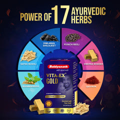 Baidyanath Ayurvedic Vita Ex Gold Capsules Baidyanath Ayurvedic Vita Ex Gold Capsules