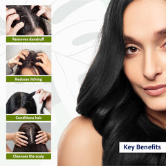 Sri Sri Tattva Ayurvedic Anti Dandruff For Dandruff Control Hair Shampoo Sri Sri Tattva Ayurvedic Anti Dandruff For Dandruff Control Hair Shampoo