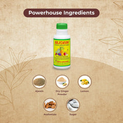 Sheth Brothers Ayurvedic Bijorin Churna Powder 100g Sheth Brothers Ayurvedic Bijorin Churna Powder 100g
