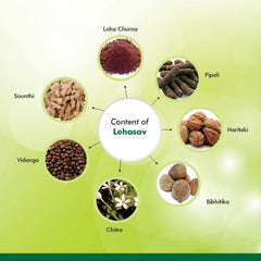 Baidyanath Ayurvedic Lohasava Manages General Weakness & Digestive Health Liquid Baidyanath Ayurvedic Lohasava Manages General Weakness & Digestive Health Liquid