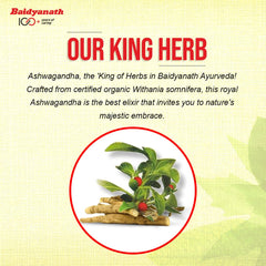 Baidyanath Ayurvedic Ashwagandha Churna Powder 100g Baidyanath Ayurvedic Ashwagandha Churna Powder 100g