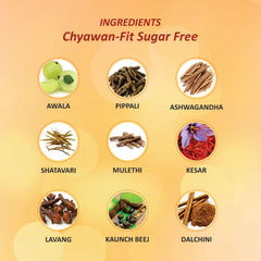 Baidyanath Ayurvedic Chyawan-Fit Chyawanprash Sugar Free Baidyanath Ayurvedic Chyawan-Fit Chyawanprash Sugar Free