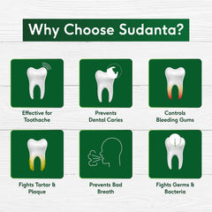 Sri Sri Tattva Sudanta Toothpaste Sri Sri Tattva Sudanta Toothpaste