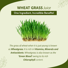 Sri Sri Tattva Ayurvedic Wheat Grass Juice Daily Fitness Essential Liquid 1 Litre Sri Sri Tattva Ayurvedic Wheat Grass Juice Daily Fitness Essential Liquid 1 Litre