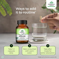 Organic India Amalaki with High Vitamin C Caapsule Organic India Amalaki with High Vitamin C Caapsule