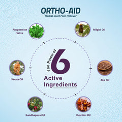 Leeford Ortho Aid Ayurvedic Spray 55g Leeford Ortho Aid Ayurvedic Spray 55g