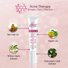 Leeford Alite Anti Acne Gel 15g Leeford Alite Anti Acne Gel 15g