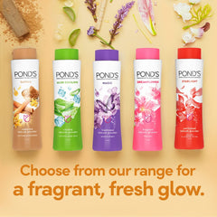 POND'S Magic,Starlight,Dreamflower,Aloe cooling and Sandal Radiance Freshness Body Talcum Powder POND'S Magic,Starlight,Dreamflower,Aloe cooling and Sandal Radiance Freshness Body Talcum Powder