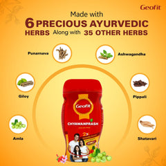 Leeford Geofit Ayurvedic Amla With Honey Chyawanprash 1 Kg Leeford Geofit Ayurvedic Amla With Honey Chyawanprash 1 Kg