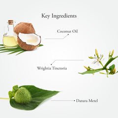 Sitaram Ayurveda Scurf Herbal Hair Oil 100ml Sitaram Ayurveda Scurf Herbal Hair Oil 100ml