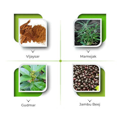 Vital Care Ayurvedic Gluset Forte 100 Capsule Vital Care Ayurvedic Gluset Forte 100 Capsule