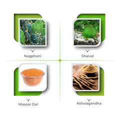 Vital Care Ayurvedic Vita Hb 60 Capsule Vital Care Ayurvedic Vita Hb 60 Capsule