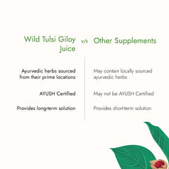 Kapiva Wild Tulsi Giloy Juice 1 Litre Kapiva Wild Tulsi Giloy Juice 1 Litre