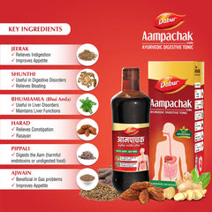 Dabur Ayurvedic Aampachak Kadha Liquid 450ml Dabur Ayurvedic Aampachak Kadha Liquid 450ml