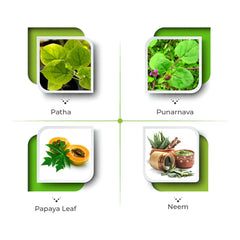 Vital Care Ayurvedic Vita Plat 100 Capsule Vital Care Ayurvedic Vita Plat 100 Capsule