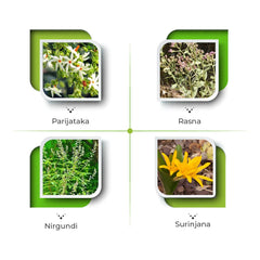 Vital Care Ayurvedic Arthrum Plus Capsule,Oil and Ointment Vital Care Ayurvedic Arthrum Plus Capsule,Oil and Ointment