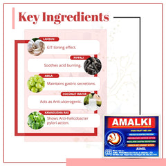 Aimil Ayurvedic Amalki 30 Tablet Aimil Ayurvedic Amalki 30 Tablet
