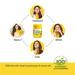 Amrutanjan Health Care Amrutanjan Ayurvedic Back Pain Roll On & Balm Amrutanjan Health Care Amrutanjan Ayurvedic Back Pain Roll On & Balm