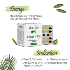 Vital Care Ayurvedic Gluset Forte 100 Capsule Vital Care Ayurvedic Gluset Forte 100 Capsule