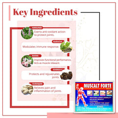 Aimil Ayurvedic Muscalt Fort Tablet,Oil Spray,Ointment & Syrup Aimil Ayurvedic Muscalt Fort Tablet,Oil Spray,Ointment & Syrup