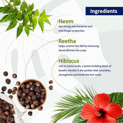 Sri Sri Tattva Ayurvedic Anti Dandruff For Dandruff Control Hair Shampoo Sri Sri Tattva Ayurvedic Anti Dandruff For Dandruff Control Hair Shampoo