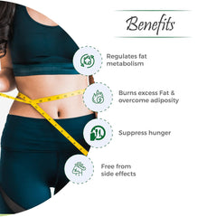 Vital Care Ayurvedic Slimit Weight Management 60 Capsule Vital Care Ayurvedic Slimit Weight Management 60 Capsule
