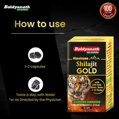 Baidhyanath Ayurvedic Shilajit Forte With Gold 20 Capsule Baidhyanath Ayurvedic Shilajit Forte With Gold 20 Capsule