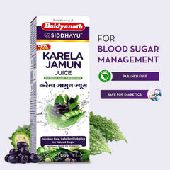 Baidyanath Ayurvedic Karela Jamun Juice Baidyanath Ayurvedic Karela Jamun Juice