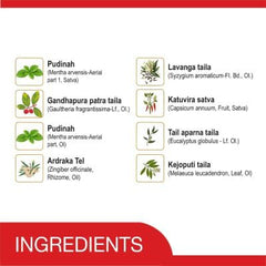 Amrutanjan Ayurvedic Maha Strong Pain Balm Amrutanjan Ayurvedic Maha Strong Pain Balm