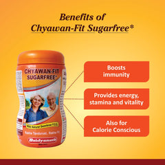 Baidyanath Ayurvedic Chyawan-Fit Chyawanprash Sugar Free Baidyanath Ayurvedic Chyawan-Fit Chyawanprash Sugar Free