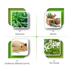 Vital Care Ayurvedic Bactimo Capsule,Oil,Ointment,Dermal Powder,Syrup & Soap Vital Care Ayurvedic Bactimo Capsule,Oil,Ointment,Dermal Powder,Syrup & Soap