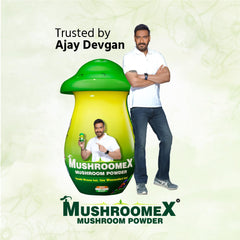Mushroomex Ayurvedic Mushroom Powder Weight Gainer 100gm Mushroomex Ayurvedic Mushroom Powder Weight Gainer 100gm