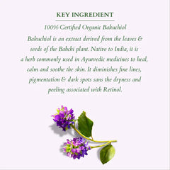 Lotus Organics+ Cosmetics Summer Bakuchiol Combo Lotus Organics+ Cosmetics Summer Bakuchiol Combo