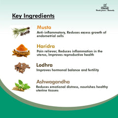 Charak Ayurvedic Endotone 20 Capsules Charak Ayurvedic Endotone 20 Capsules