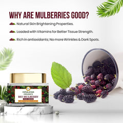Himalayan Organics Bio Mulberry Face Cream 50gm Himalayan Organics Bio Mulberry Face Cream 50gm