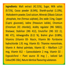 Patanjali Herbal Powervita Plus Powder Patanjali Herbal Powervita Plus Powder