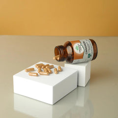 Organic India Ayurvedic Cinnamon Capsules Organic India Ayurvedic Cinnamon Capsules